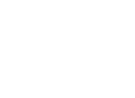 NetTec solution