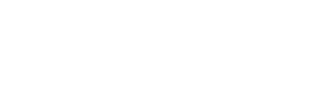 SNiv – Schweizer Netzinfrastrukturverband